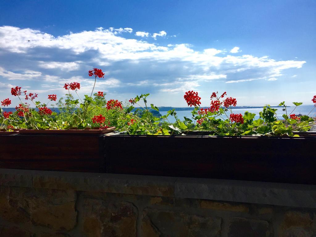 ポルトローシュIstrian Houseアパートメント エクステリア 写真