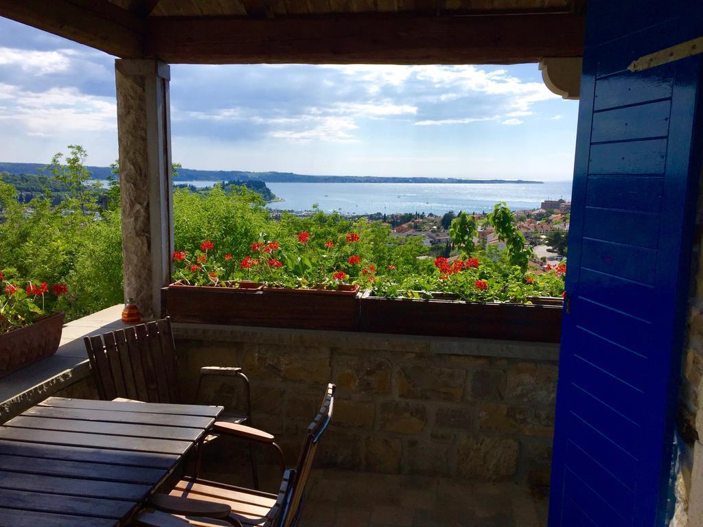 ポルトローシュIstrian Houseアパートメント エクステリア 写真